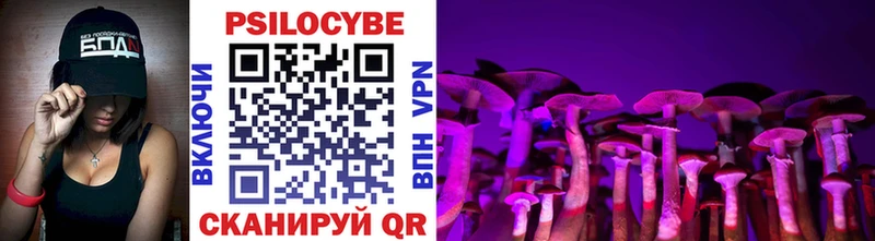 Купить где  Шатура  Псилоцибиновые грибы прущие грибы 